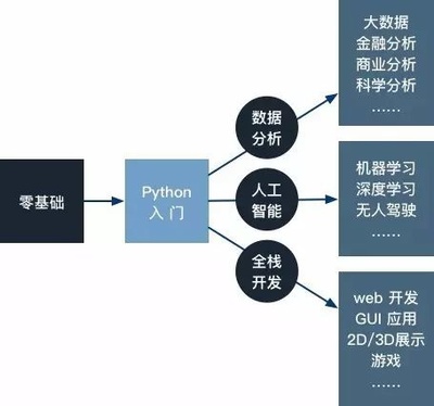 Python火熱背后的人工智能崛起與基礎軟件開發
